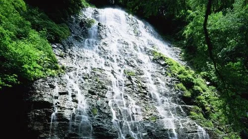 高端高性能自动化